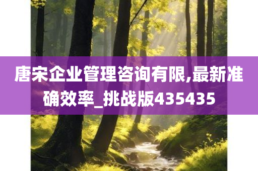 唐宋企业管理咨询有限,最新准确效率_挑战版435435