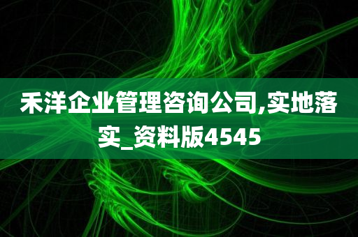 禾洋企业管理咨询公司,实地落实_资料版4545