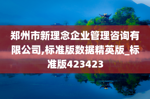 郑州市新理念企业管理咨询有限公司,标准版数据精英版_标准版423423