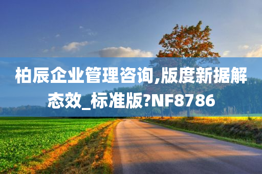 柏辰企业管理咨询,版度新据解态效_标准版?NF8786