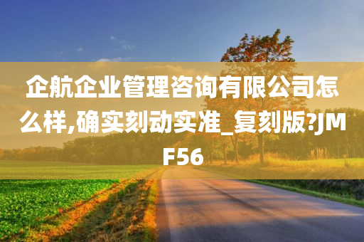 企航企业管理咨询有限公司怎么样,确实刻动实准_复刻版?JMF56