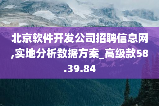 北京软件开发公司招聘信息网,实地分析数据方案_高级款58.39.84