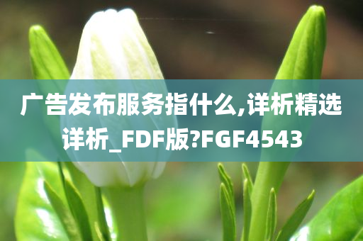 广告发布服务指什么,详析精选详析_FDF版?FGF4543