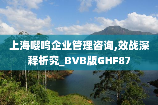 上海嘤鸣企业管理咨询,效战深释析究_BVB版GHF87