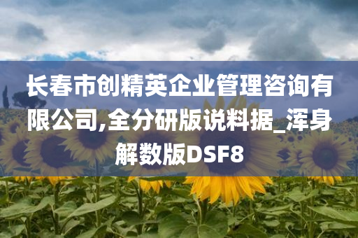 长春市创精英企业管理咨询有限公司,全分研版说料据_浑身解数版DSF8