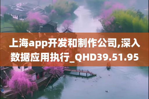 上海app开发和制作公司,深入数据应用执行_QHD39.51.95