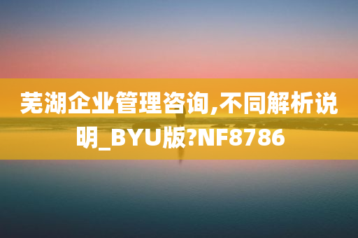 芜湖企业管理咨询,不同解析说明_BYU版?NF8786