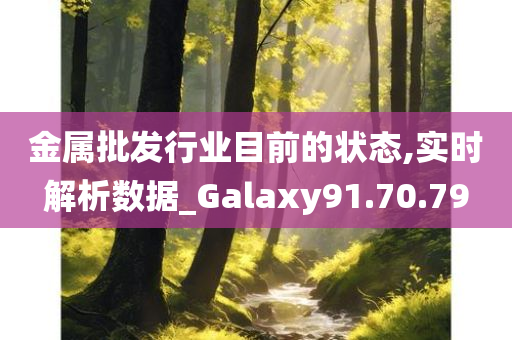 金属批发行业目前的状态,实时解析数据_Galaxy91.70.79