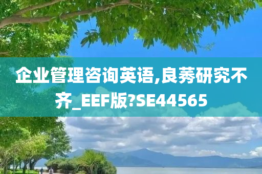 企业管理咨询英语,良莠研究不齐_EEF版?SE44565