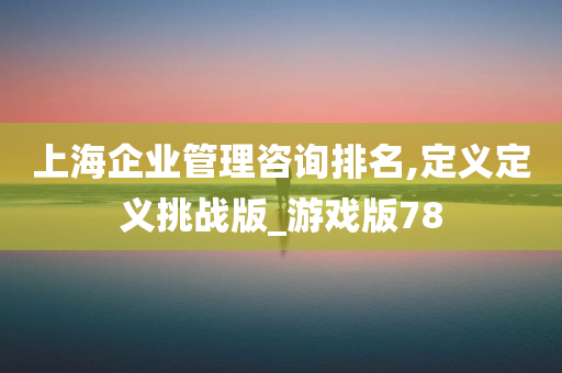 上海企业管理咨询排名,定义定义挑战版_游戏版78