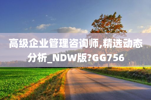 高级企业管理咨询师,精选动态分析_NDW版?GG756