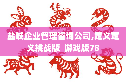 盐城企业管理咨询公司,定义定义挑战版_游戏版78