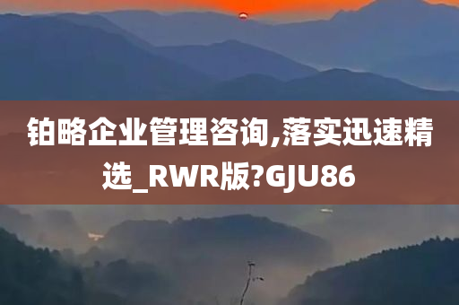 铂略企业管理咨询,落实迅速精选_RWR版?GJU86