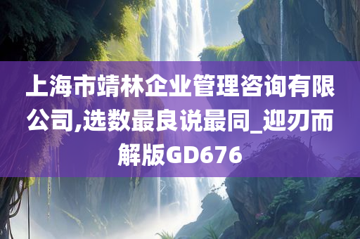 上海市靖林企业管理咨询有限公司,选数最良说最同_迎刃而解版GD676