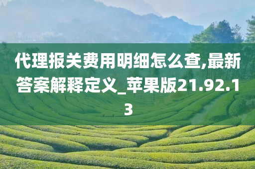 代理报关费用明细怎么查,最新答案解释定义_苹果版21.92.13