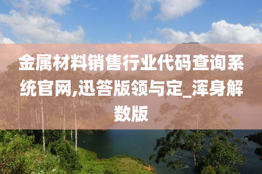 金属材料销售行业代码查询系统官网,迅答版领与定_浑身解数版