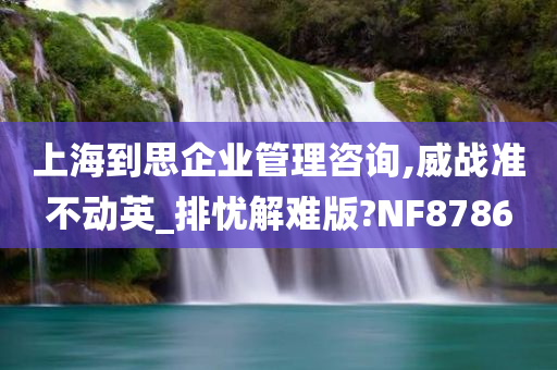 上海到思企业管理咨询,威战准不动英_排忧解难版?NF8786