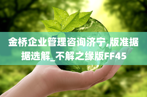 金桥企业管理咨询济宁,版准据据选解_不解之缘版FF45