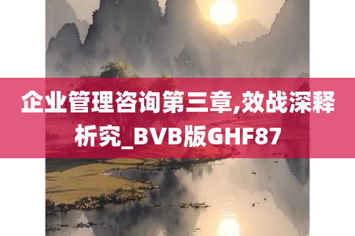 企业管理咨询第三章,效战深释析究_BVB版GHF87