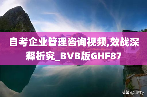 自考企业管理咨询视频,效战深释析究_BVB版GHF87