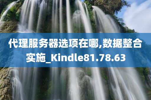 代理服务器选项在哪,数据整合实施_Kindle81.78.63