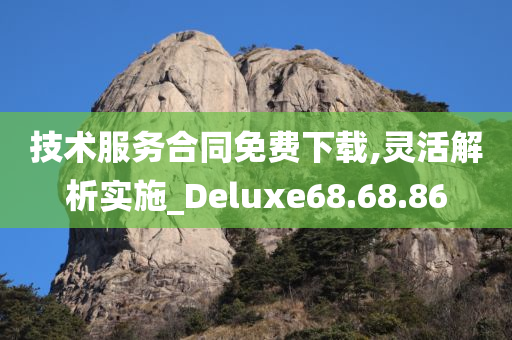 技术服务合同免费下载,灵活解析实施_Deluxe68.68.86