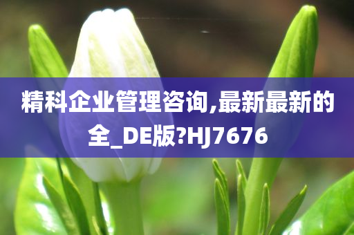 精科企业管理咨询,最新最新的全_DE版?HJ7676