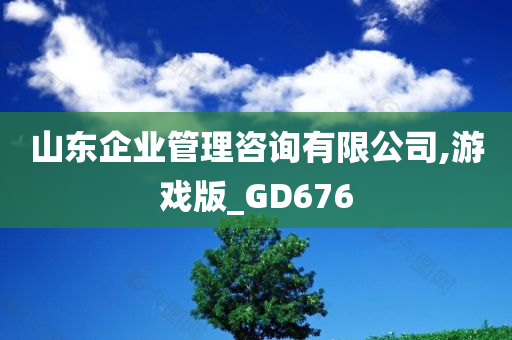 山东企业管理咨询有限公司,游戏版_GD676