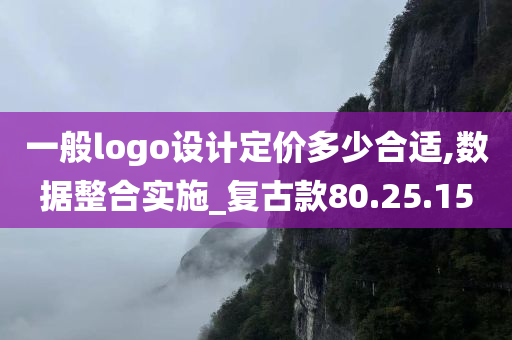 一般logo设计定价多少合适,数据整合实施_复古款80.25.15