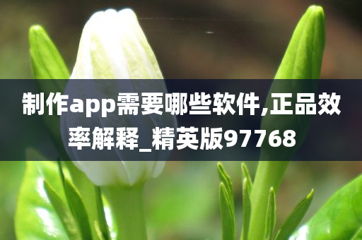 制作app需要哪些软件,正品效率解释_精英版97768