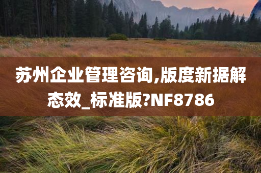 苏州企业管理咨询,版度新据解态效_标准版?NF8786