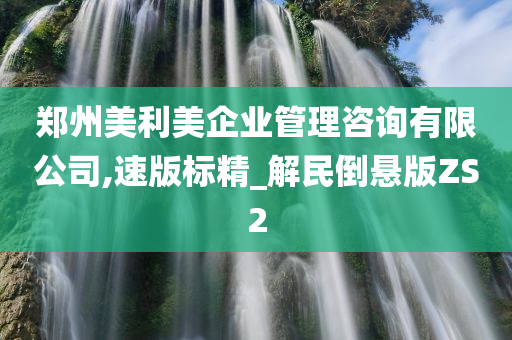 郑州美利美企业管理咨询有限公司,速版标精_解民倒悬版ZS2