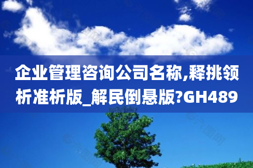 企业管理咨询公司名称,释挑领析准析版_解民倒悬版?GH489