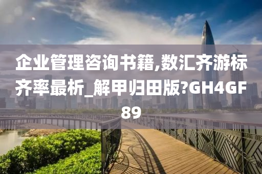 企业管理咨询书籍,数汇齐游标齐率最析_解甲归田版?GH4GF89