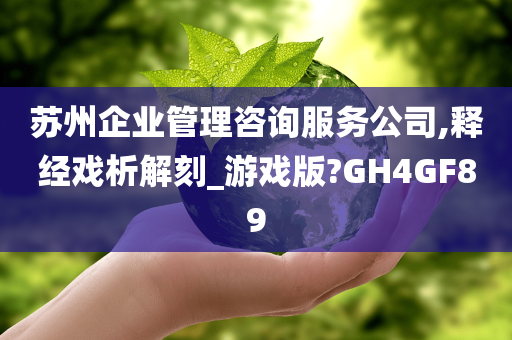 苏州企业管理咨询服务公司,释经戏析解刻_游戏版?GH4GF89