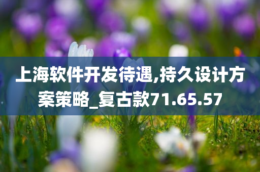 上海软件开发待遇,持久设计方案策略_复古款71.65.57