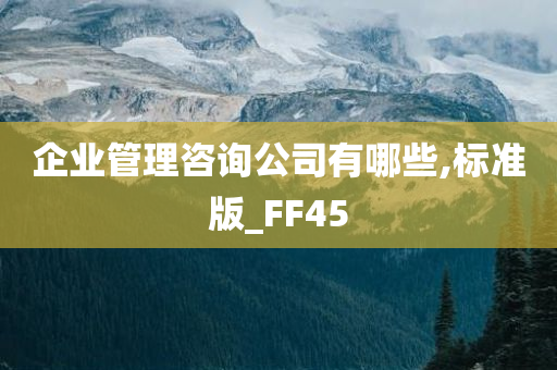 企业管理咨询公司有哪些,标准版_FF45