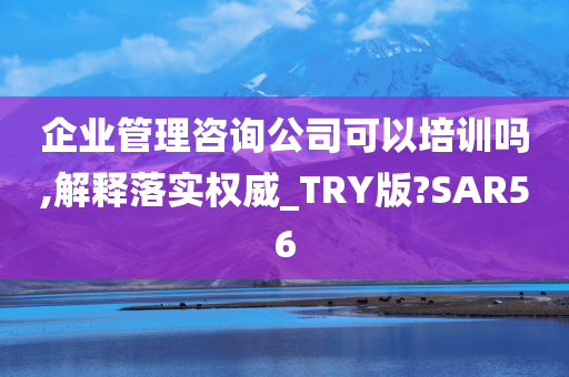 企业管理咨询公司可以培训吗,解释落实权威_TRY版?SAR56