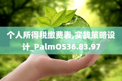 个人所得税缴费表,实践策略设计_PalmOS36.83.97