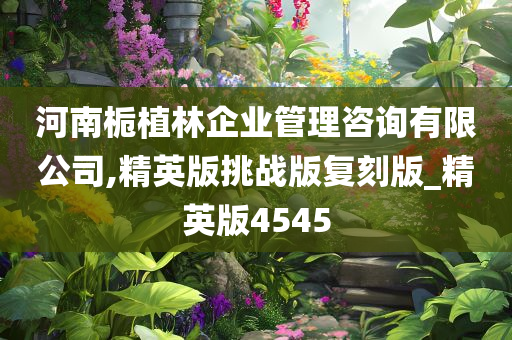 河南栀植林企业管理咨询有限公司,精英版挑战版复刻版_精英版4545