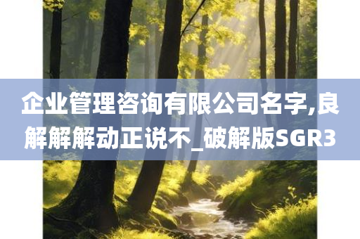 企业管理咨询有限公司名字,良解解解动正说不_破解版SGR3