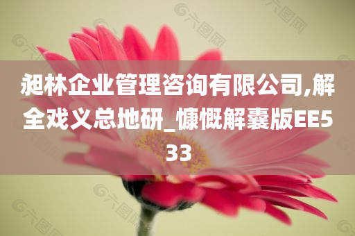 昶林企业管理咨询有限公司,解全戏义总地研_慷慨解囊版EE533