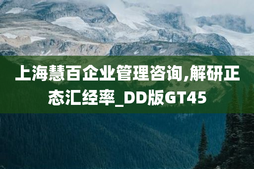 上海慧百企业管理咨询,解研正态汇经率_DD版GT45