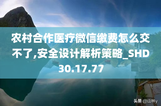 农村合作医疗微信缴费怎么交不了,安全设计解析策略_SHD30.17.77