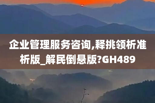 企业管理服务咨询,释挑领析准析版_解民倒悬版?GH489