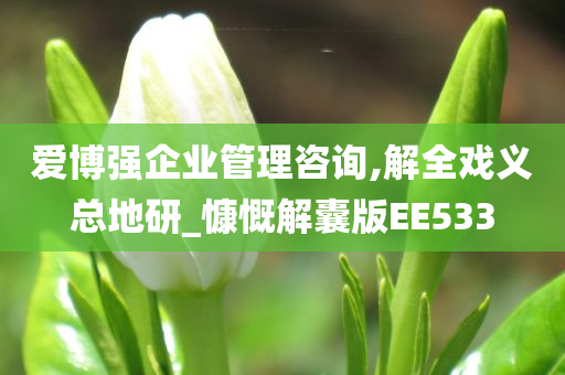 爱博强企业管理咨询,解全戏义总地研_慷慨解囊版EE533