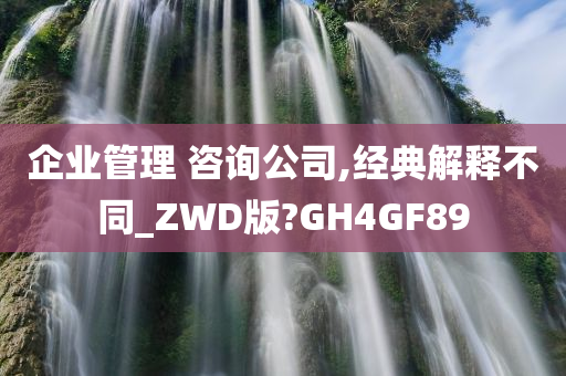 企业管理 咨询公司,经典解释不同_ZWD版?GH4GF89