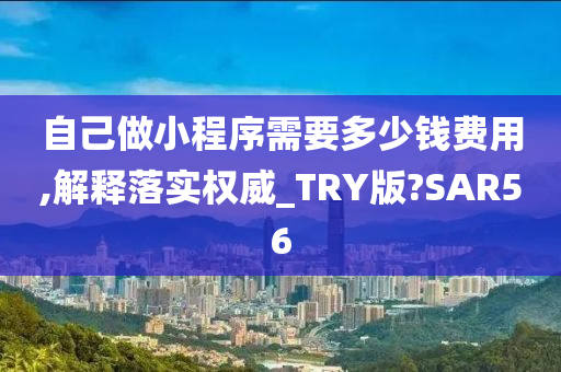 自己做小程序需要多少钱费用,解释落实权威_TRY版?SAR56