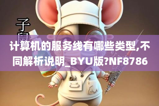 计算机的服务线有哪些类型,不同解析说明_BYU版?NF8786