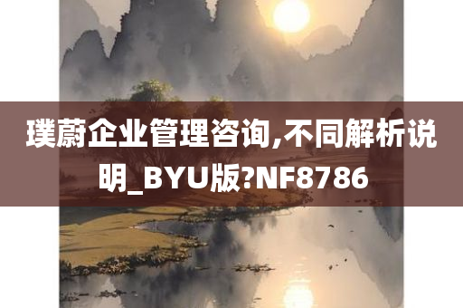 璞蔚企业管理咨询,不同解析说明_BYU版?NF8786